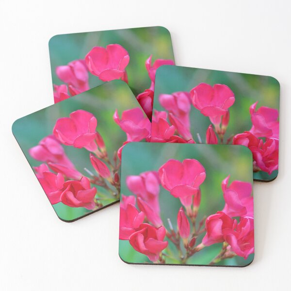 Item preview, Lovely Pink Oleander Flower bunch designed and sold by IPPhotography.