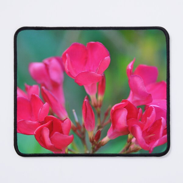 Item preview, Lovely Pink Oleander Flower bunch designed and sold by IPPhotography.