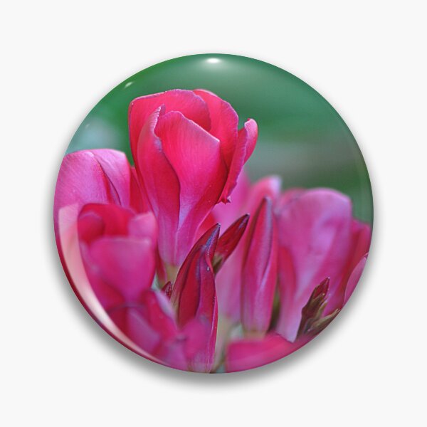 Item preview, Lovely Pink Oleander Flower bunch designed and sold by IPPhotography.