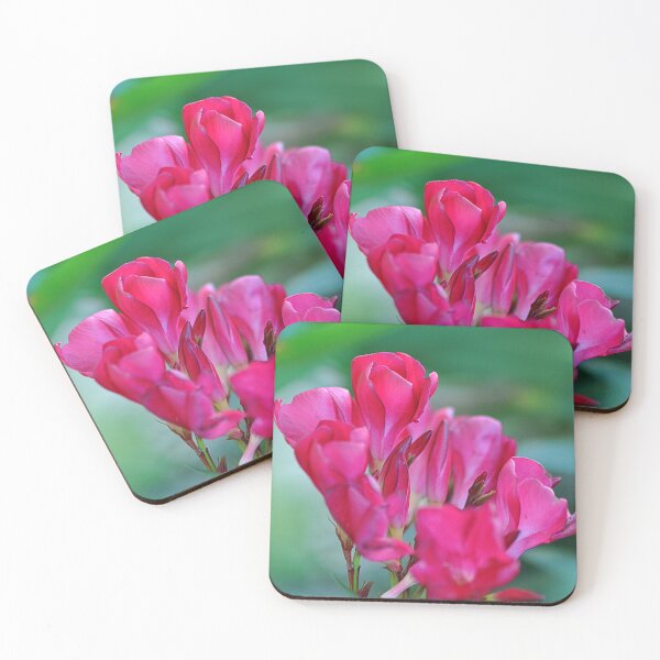 Item preview, Lovely Pink Oleander Flower bunch designed and sold by IPPhotography.