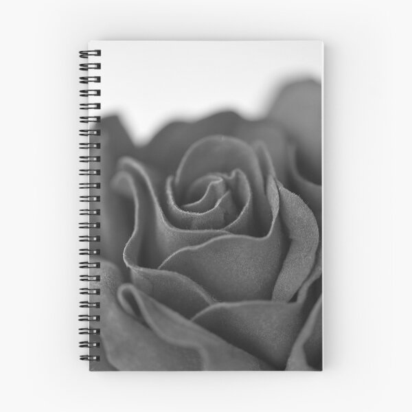 Item preview, Black and White Red Rose  designed and sold by IPPhotography.