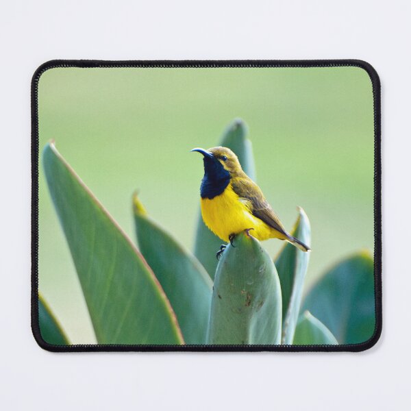 Item preview, Sunbird designed and sold by Ozjanette90.