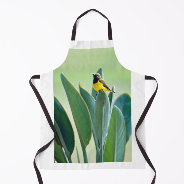 Item preview, Sunbird designed and sold by Ozjanette90.