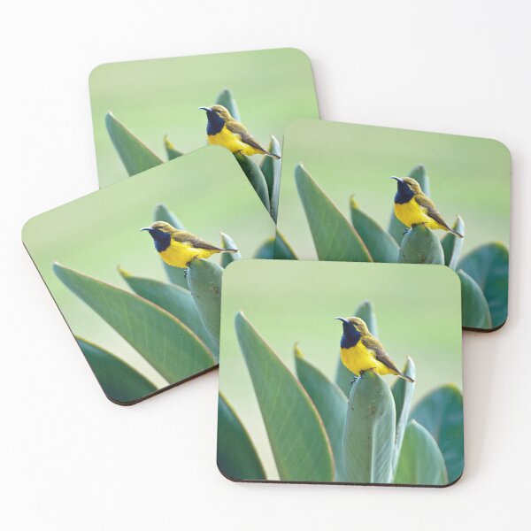 Item preview, Sunbird designed and sold by Ozjanette90.