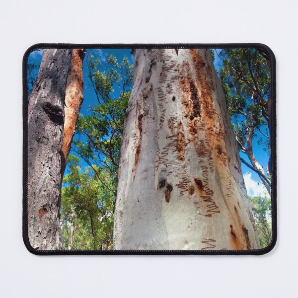 Item preview, Scribbly Gum Fraser Island designed and sold by Ozjanette90.