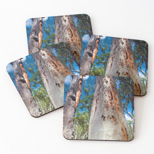 Item preview, Scribbly Gum Fraser Island designed and sold by Ozjanette90.