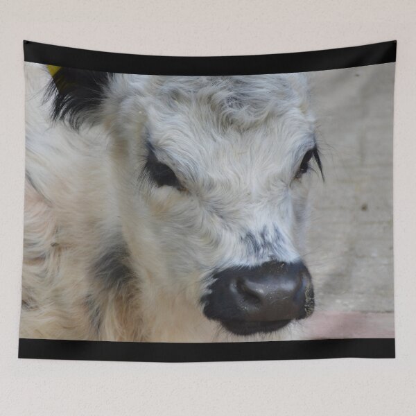 Item preview, Calf designed and sold by animal-animal.