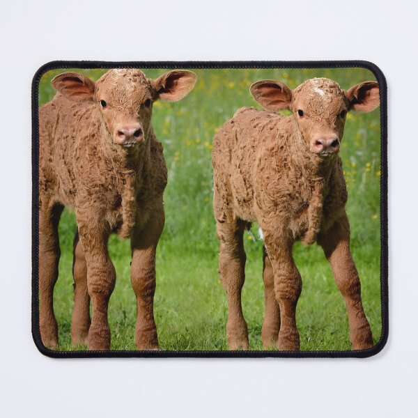 Artikelvorschau, Calf entworfen und verkauft von animal-animal.