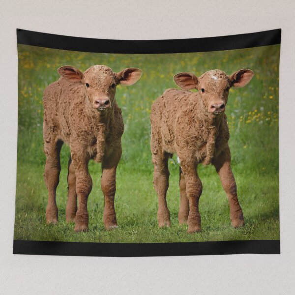 Artikelvorschau, Calf entworfen und verkauft von animal-animal.