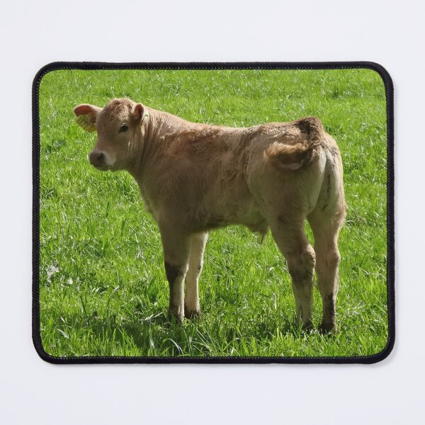 Artikelvorschau, Calf entworfen und verkauft von animal-animal.