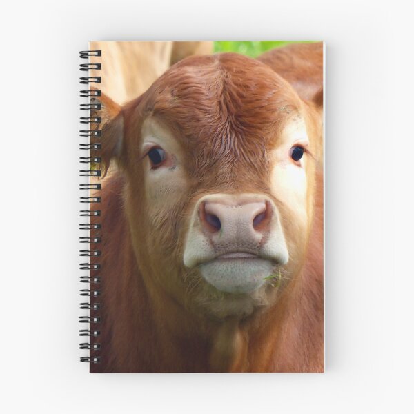 Item preview, Calf designed and sold by animal-animal.
