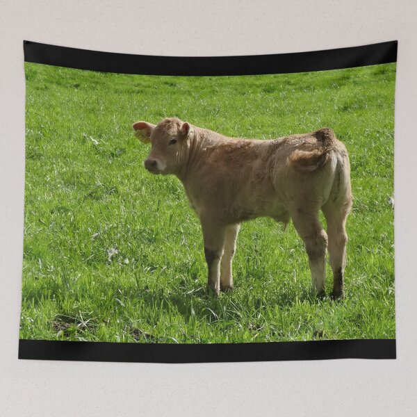 Item preview, Calf designed and sold by animal-animal.