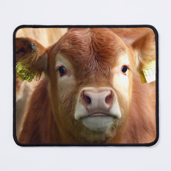 Item preview, Calf designed and sold by animal-animal.