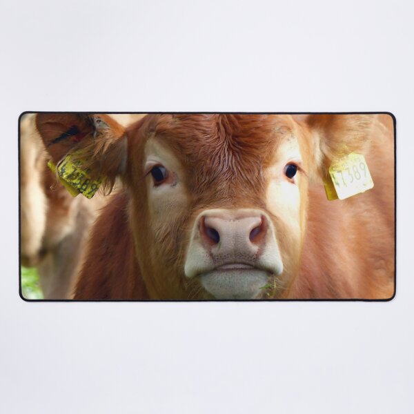Artikelvorschau, Calf entworfen und verkauft von animal-animal.