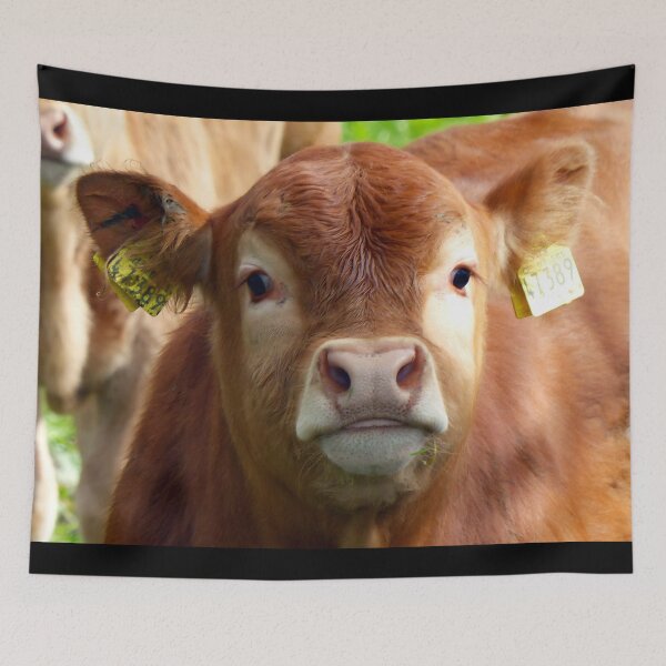 Item preview, Calf designed and sold by animal-animal.
