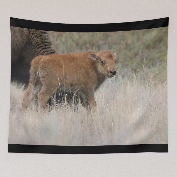 Item preview, Calf designed and sold by animal-animal.