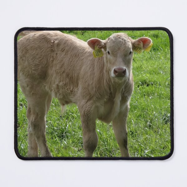 Artikelvorschau, Calf entworfen und verkauft von animal-animal.