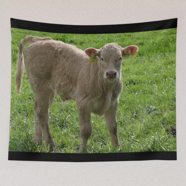 Artikelvorschau, Calf entworfen und verkauft von animal-animal.
