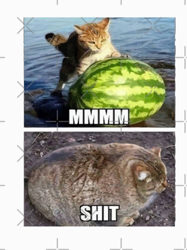 Cat Ate Watermelon Meme scdesignforum