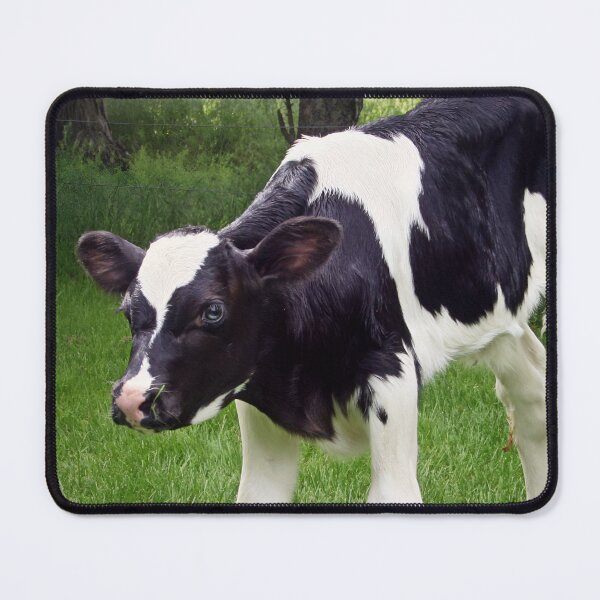 Artikelvorschau, Calf entworfen und verkauft von animal-animal.