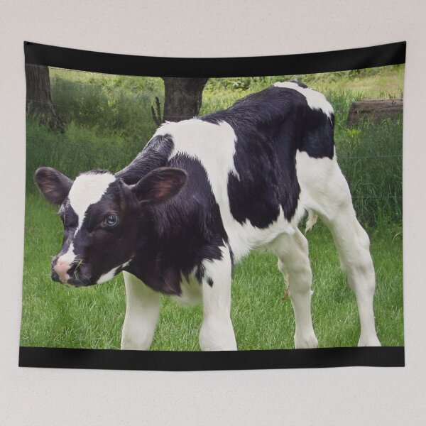 Item preview, Calf designed and sold by animal-animal.