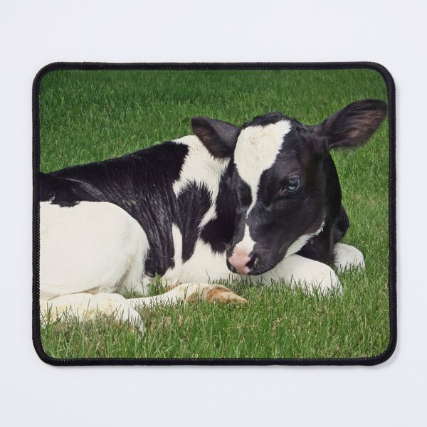 Item preview, Calf designed and sold by animal-animal.