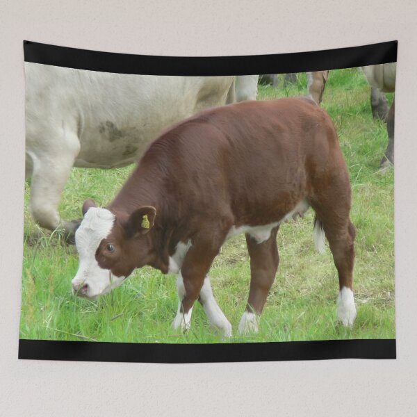 Item preview, Calf designed and sold by animal-animal.