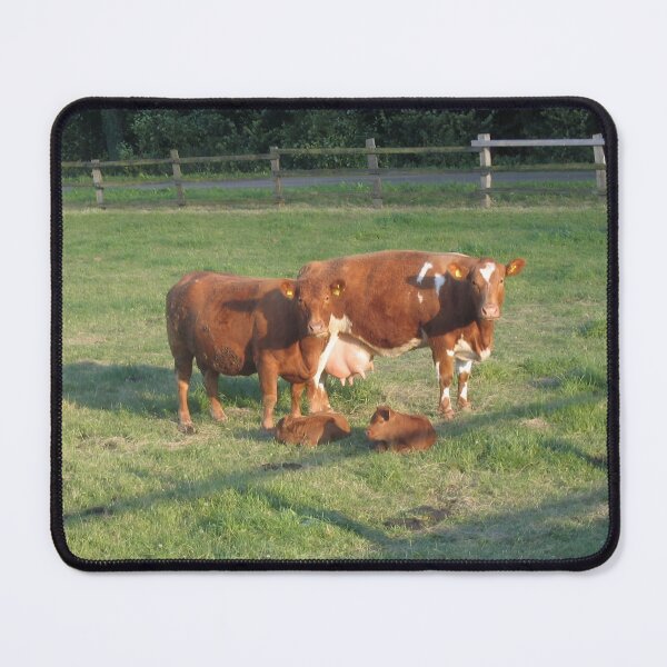 Item preview, Calf designed and sold by animal-animal.