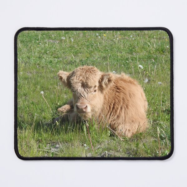 Artikelvorschau, Calf entworfen und verkauft von animal-animal.