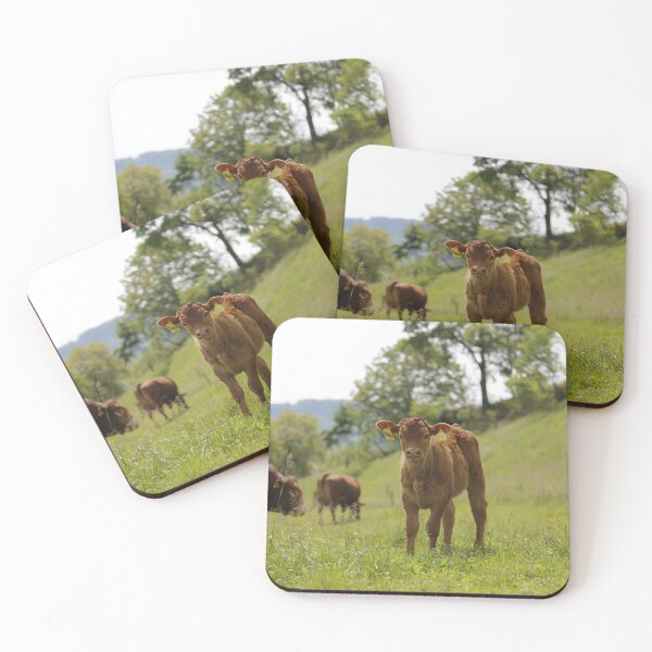 Item preview, Calf designed and sold by animal-animal.