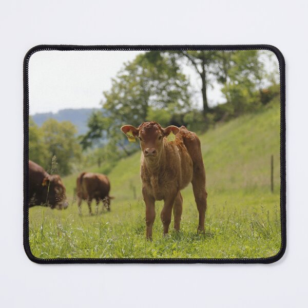 Item preview, Calf designed and sold by animal-animal.