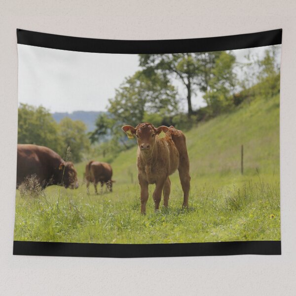 Item preview, Calf designed and sold by animal-animal.