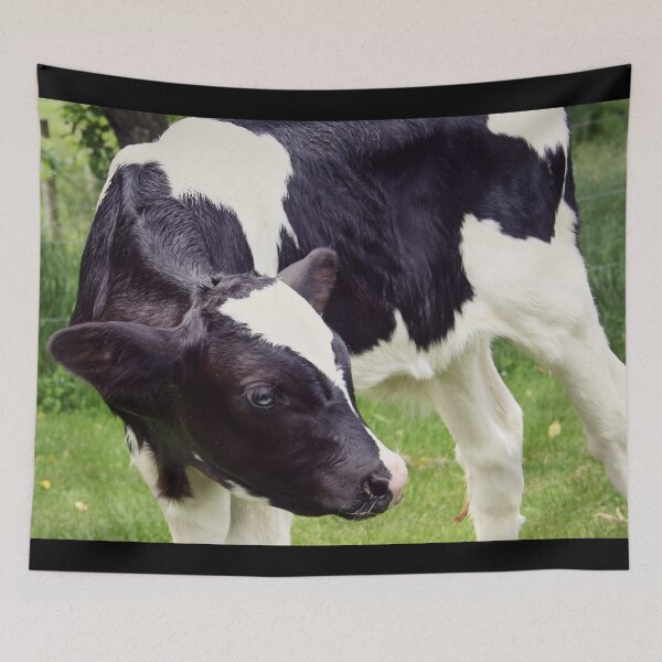 Item preview, Calf designed and sold by animal-animal.