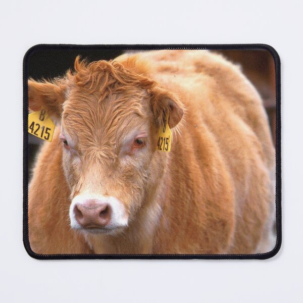 Item preview, Calf designed and sold by animal-animal.