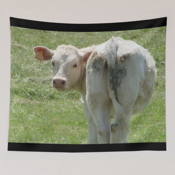 Item preview, Calf designed and sold by animal-animal.