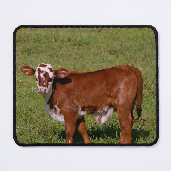 Item preview, Calf designed and sold by animal-animal.
