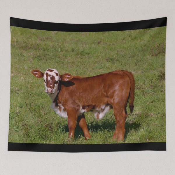 Item preview, Calf designed and sold by animal-animal.