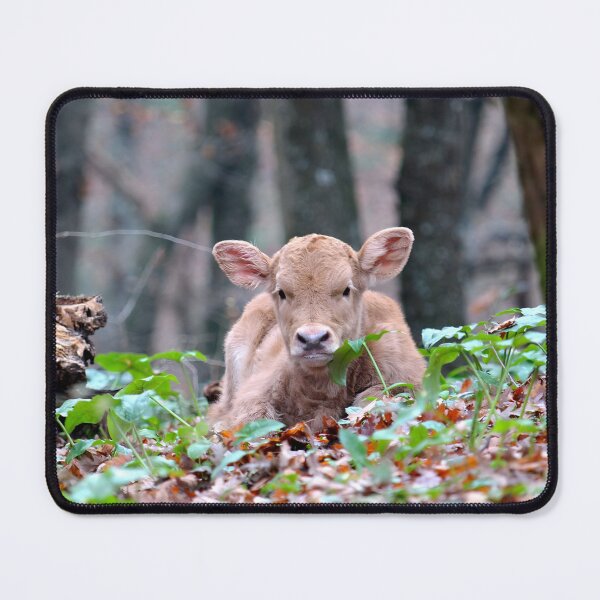 Artikelvorschau, Calf entworfen und verkauft von animal-animal.