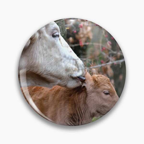 Item preview, Calf designed and sold by animal-animal.