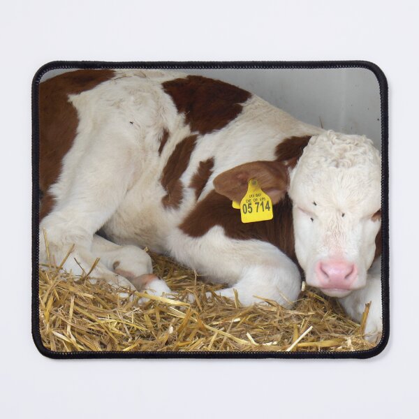 Artikelvorschau, Calf entworfen und verkauft von animal-animal.
