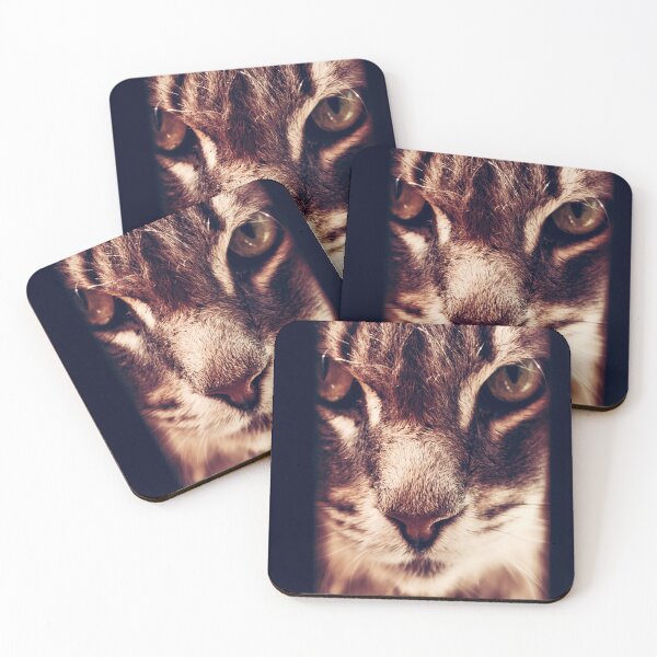 Item preview, cat in focus / little eyes tiger / cat eyes / Focused cat / gift for cat lovers designed and sold by Vikingstorm.