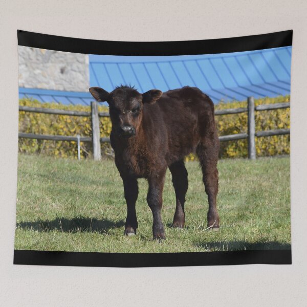 Item preview, Calf designed and sold by animal-animal.