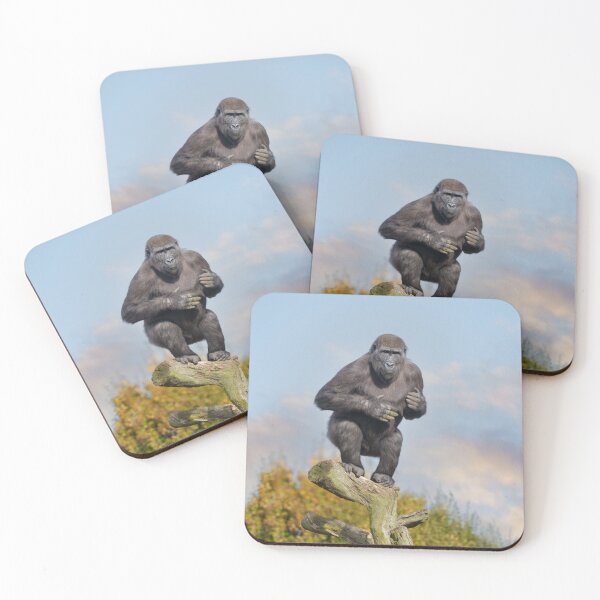 Item preview, Gorilla's Tree-Balancing Act designed and sold by rawshutterbug.
