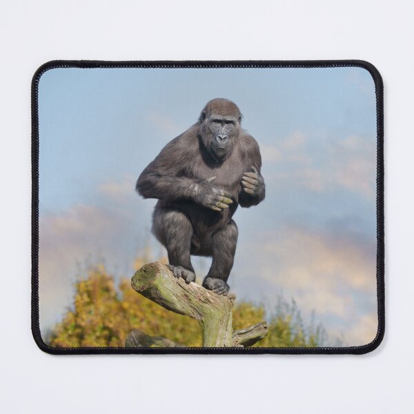 Item preview, Gorilla's Tree-Balancing Act designed and sold by rawshutterbug.