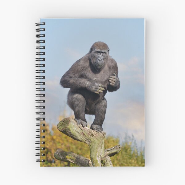 Item preview, Gorilla's Tree-Balancing Act designed and sold by rawshutterbug.