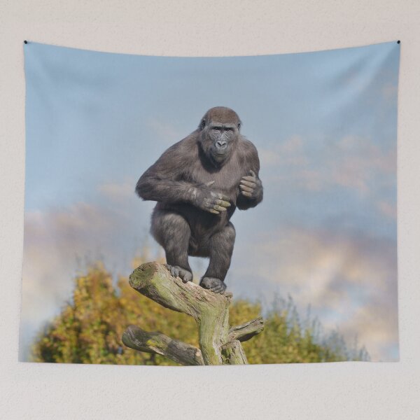 Item preview, Gorilla's Tree-Balancing Act designed and sold by rawshutterbug.