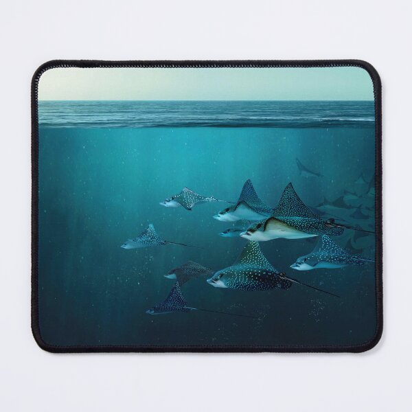 Item preview, Manta Ray Wall Art designed and sold by SurfolioPrints.