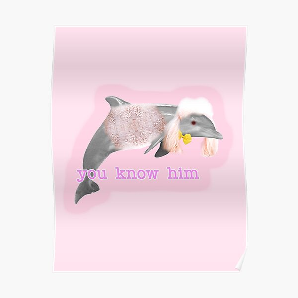 Kevin the Dolphoodle Poster