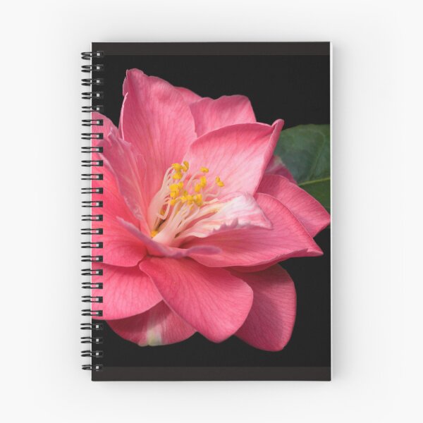 Item preview, Camellia designed and sold by Krys Bailey.