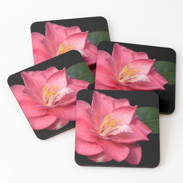 Item preview, Camellia designed and sold by Krys Bailey.